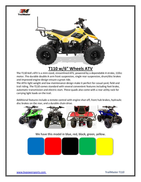 TrailMaster T110 Mini ATV